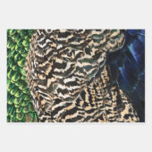 クジャクの包装紙  ラッピングペーパーシート (正面3)