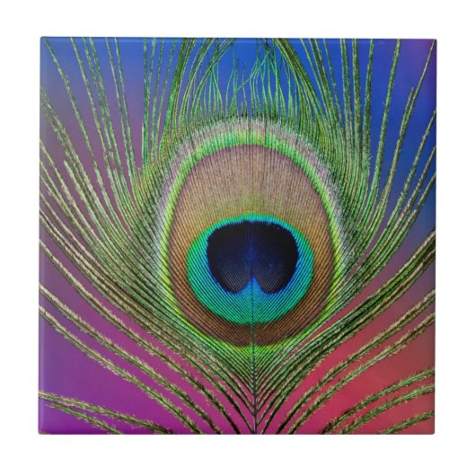 クジャクの尾羽 タイル (正面)