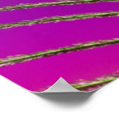 クジャクの尾羽 ポスター (角)