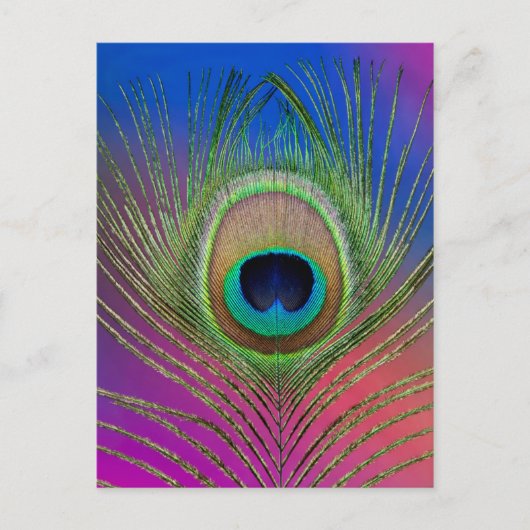 クジャクの尾羽 ポストカード (正面)