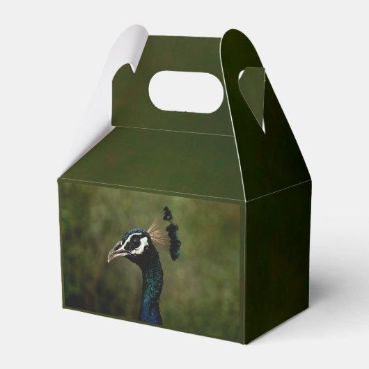 クジャクの横顔 フェイバーボックス (正面サイド)