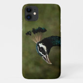 クジャクの横顔 Case-Mate iPhoneケース (裏面)
