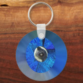 クジャクの目 キーホルダー (正面)