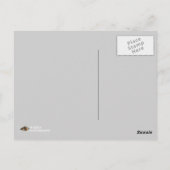 クジャクの美しさ ポストカード (裏面)