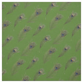 クジャクの羽かわいらし根 ファブリック (見本)