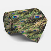 クジャクの羽のタイ ネクタイ (ロール)