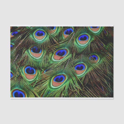 クジャクの羽のデコパージュ用ティシュペーパー 薄葉紙 (正面)