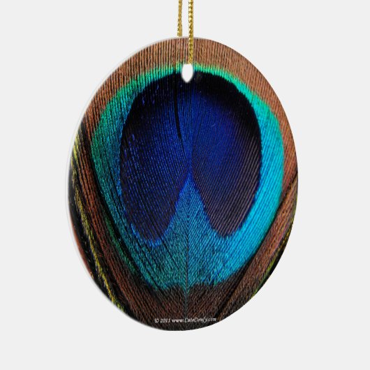 クジャクの羽の目をクローズアップ セラミックオーナメント (右)