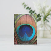 クジャクの羽の目をクローズアップ ポストカード (スタンド正面)