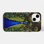 クジャクの羽根のディスプレイ iPhoneケース (裏面横)