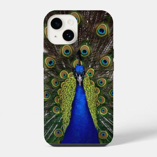 クジャクの羽根のディスプレイ iPhoneケース (裏面)