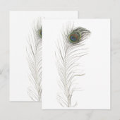 クジャクの羽根 インビテーションポストカード (正面/裏面)