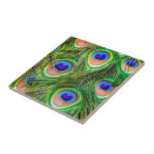 クジャクの羽 タイル (側面)