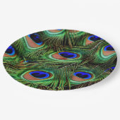 クジャクの羽   ペーパープレート (アングル)