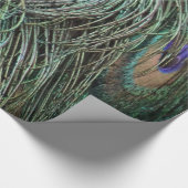 クジャクの羽 ラッピングペーパー (角)