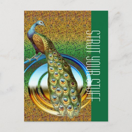 クジャクの色 ポストカード (正面)