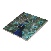 クジャクの鳥のタイル タイル (側面)