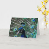 クジャクの鳥の挨拶状 カード (黄色い花)