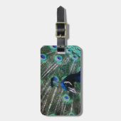 クジャクの鳥の荷物のラベル ラゲッジタグ (正面縦)