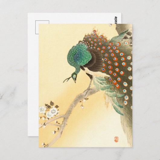 クジャクオンさくらんぼの花の木+大原湖村 – ポストカード (正面/裏面)