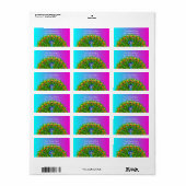 クジャクカラフルレインボーカラーズバサイケデリックード ラベル (フルシート)