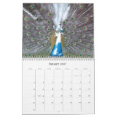 クジャクカレンダー カレンダー (1月 2027)