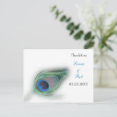 クジャクサンキューカード ポストカード (スタンド正面)