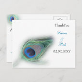 クジャクサンキューカード ポストカード (正面/裏面)