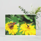 クジャクチョウ - ご招待 招待状 (スタンド正面)