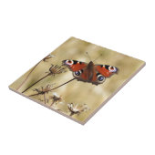 クジャクチョウ タイル (側面)