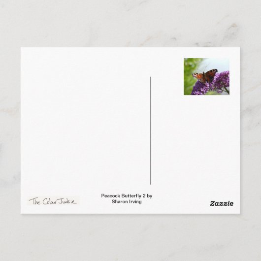 クジャクバタフライ2 ポストカード (裏面)