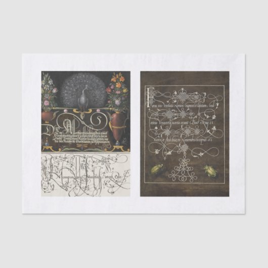 クジャクフローラ園デコパージュ 薄葉紙 (正面)