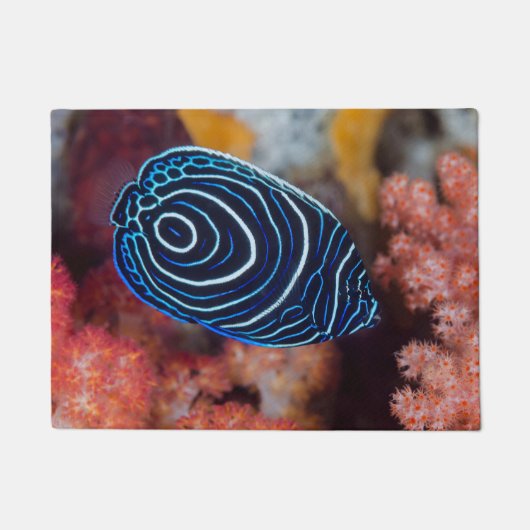 クジャクヤッコのクローズアップ ドアマット (正面)