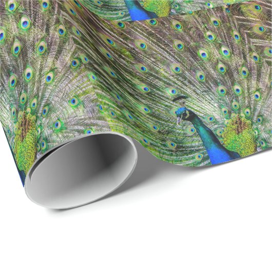 クジャク素晴らしと羽毛の写真アクセサリー ラッピングペーパー (ロールコーナー)