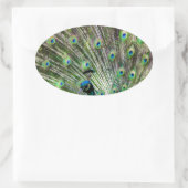 クジャク素晴らしと羽毛の写真アクセサリー 楕円形シール (バッグ)