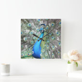 クジャク誇りを持ったのように スクエア壁時計 (ホーム)