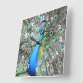 クジャク誇りを持ったのように スクエア壁時計 (傾斜)