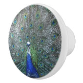 クジャク誇りを持ったのように セラミックノブ (右)