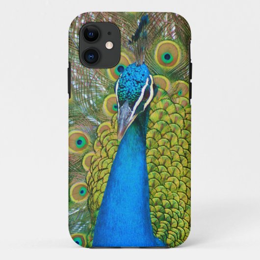 クジャク青い頭と尾カラフル羽 Case-Mate iPhoneケース (裏面)