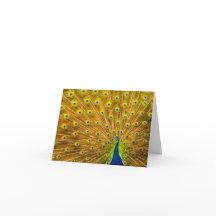 クジャク、シルバー滝、カウアイ、ハワイ