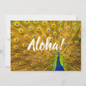 クジャク、シルバー滝、カウアイ、ハワイ 招待状 (正面)