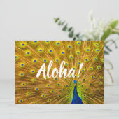 クジャク、シルバー滝、カウアイ、ハワイ 招待状 (スタンド正面)