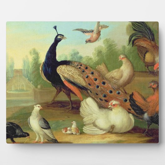 クジャク、ハト、ニワトリ、公園のジャイ フォトプラーク (正面)