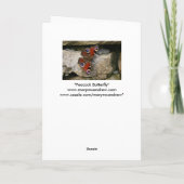 クジャク・バタフライ(イギリス) カード (裏面)