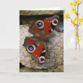 クジャク・バタフライ(イギリス) カード (黄色い花)