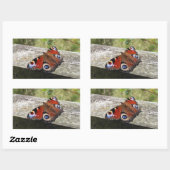 クジャク・バタフライ 長方形シール (シート)