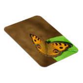 クジャク・パンジー・バタフライ マグネット (右側)