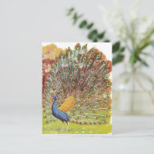 クジャク・ブルース ポストカード (スタンド正面)