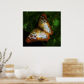 クジャク ポスター (キッチン)