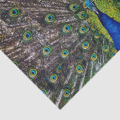 クジャク 薄葉紙 (詳細)